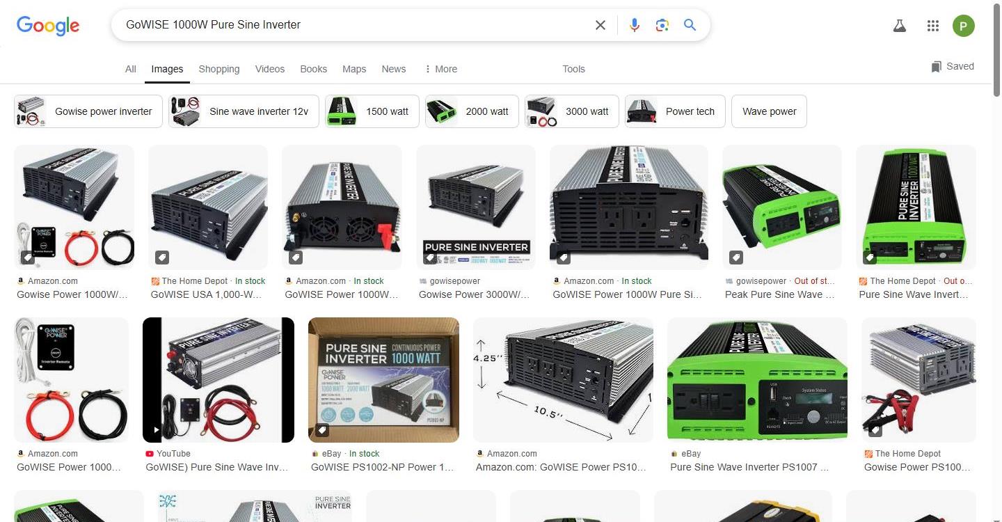 GoWISE 1000W Pure Sine Inverter Displayed in Search Results